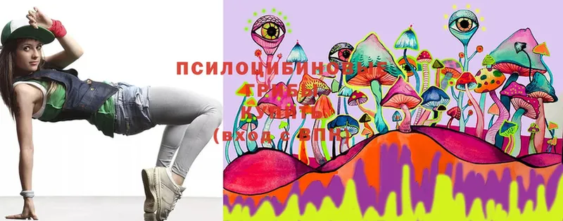 мега ссылка  Ревда  Галлюциногенные грибы MAGIC MUSHROOMS  что такое  